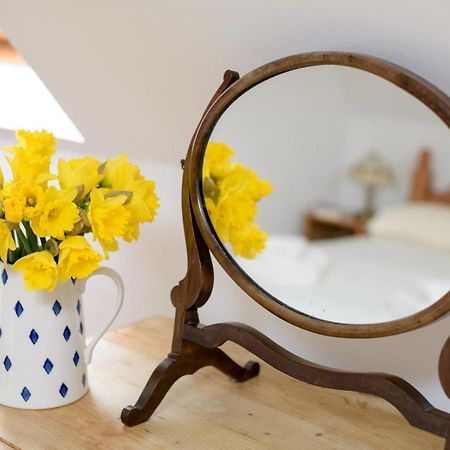 Luccombe Farm Holiday Cottages Milton Abbas 외부 사진