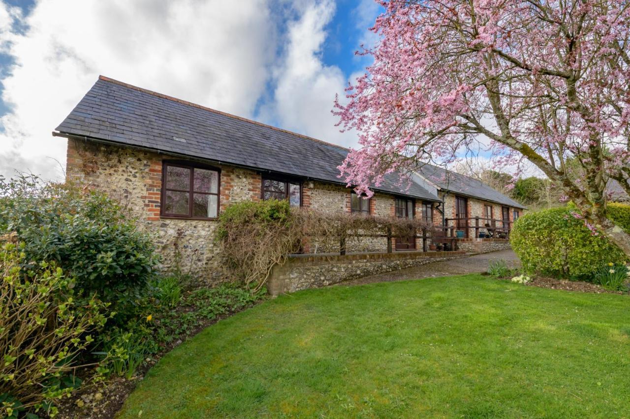 Luccombe Farm Holiday Cottages Milton Abbas 외부 사진